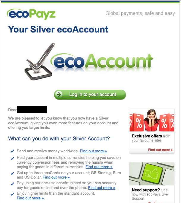 Your Silver ecoAccount