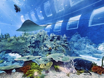 世界最大の水族館シーアクアリウム