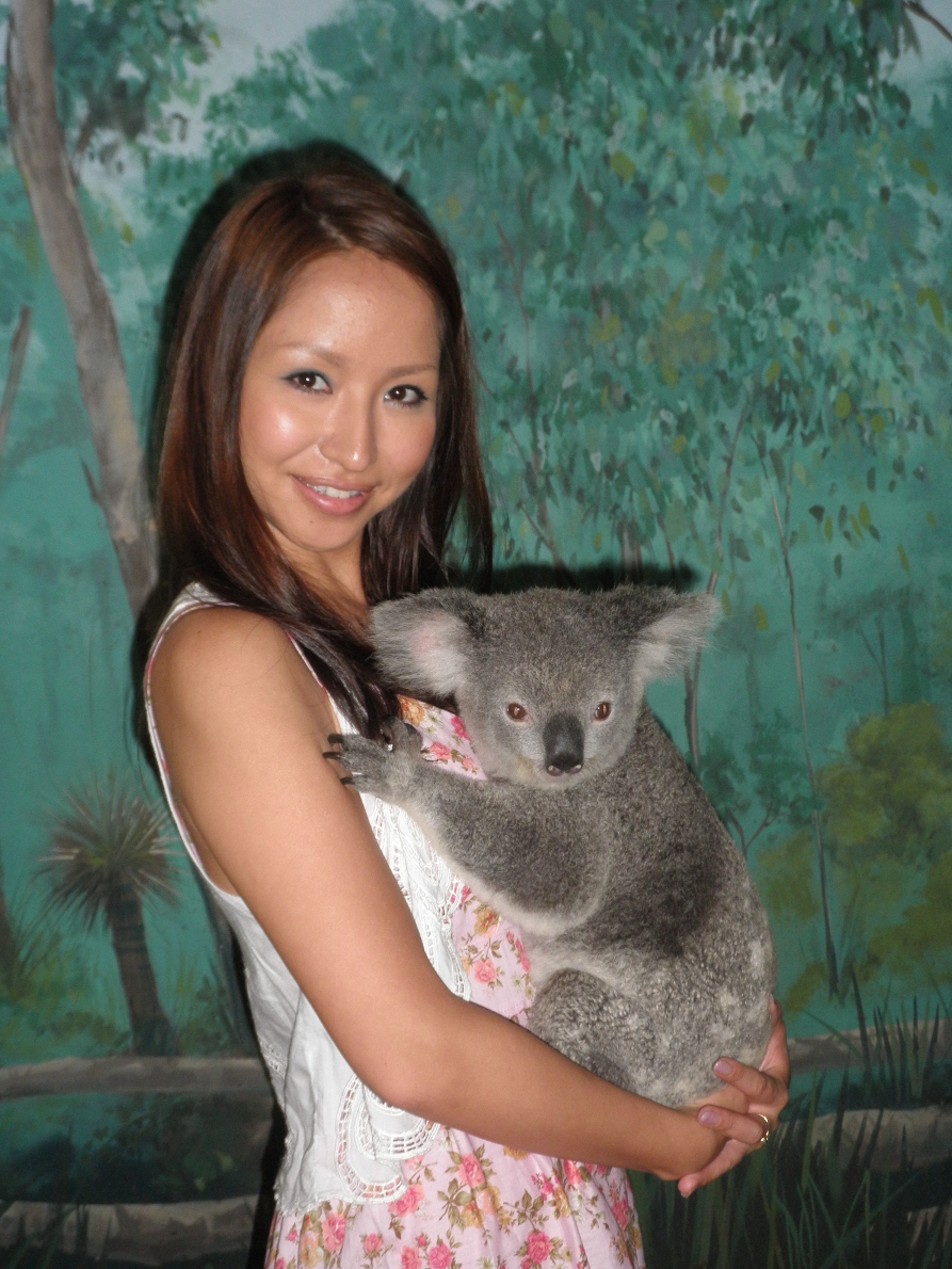 コアラを抱っこできる場所もあります。