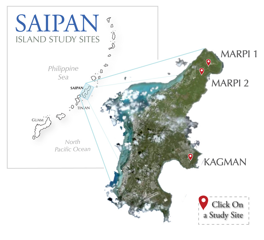 北マリアナ諸島、最大の島「サイパン島」